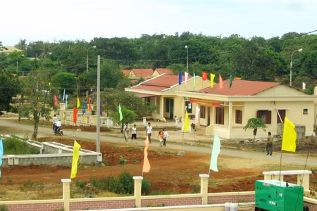 Tập trung khai thác tiềm năng du lịch đảo Cồn Cỏ ảnh 2