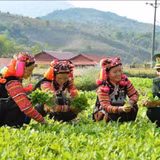 Khai thác chỉ dẫn địa lý, mở rộng thị trường đặc sản vùng dân tộc thiểu số