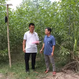 Gỡ vướng thủ tục đất đai, đồng bào Hre yên tâm sản xuất