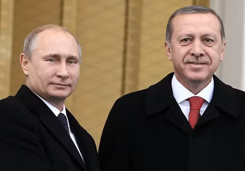Tổng thống Thổ Nhĩ Kỳ đề nghị gặp ông Putin ở Paris ảnh 1