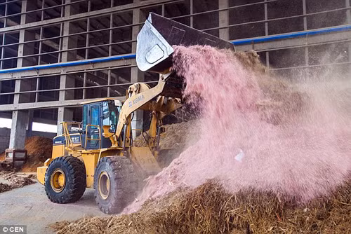 Trung Quốc đốt hàng trăm tỷ NDT tiền giấy để tạo điện ảnh 6