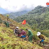 Bộ đội Biên phòng tỉnh Lai Châu giúp dân bản Ngài Thầu, xã Sì Lờ Lầu triển khai mô hình trồng rau xanh theo hướng tập trung, an toàn.