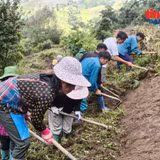 Xác định các dân tộc còn gặp nhiều khó khăn, có khó khăn đặc thù