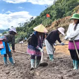 Chương trình mục tiêu quốc gia: Động lực giảm nghèo bền vững ở vùng cao