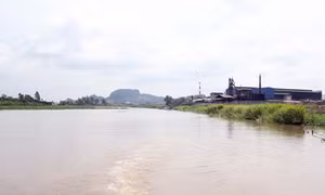 Sông Đa Độ 'oằn mình' gánh nước thải
