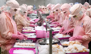 Tỷ lệ thất nghiệp của cả nước là 2,29% 