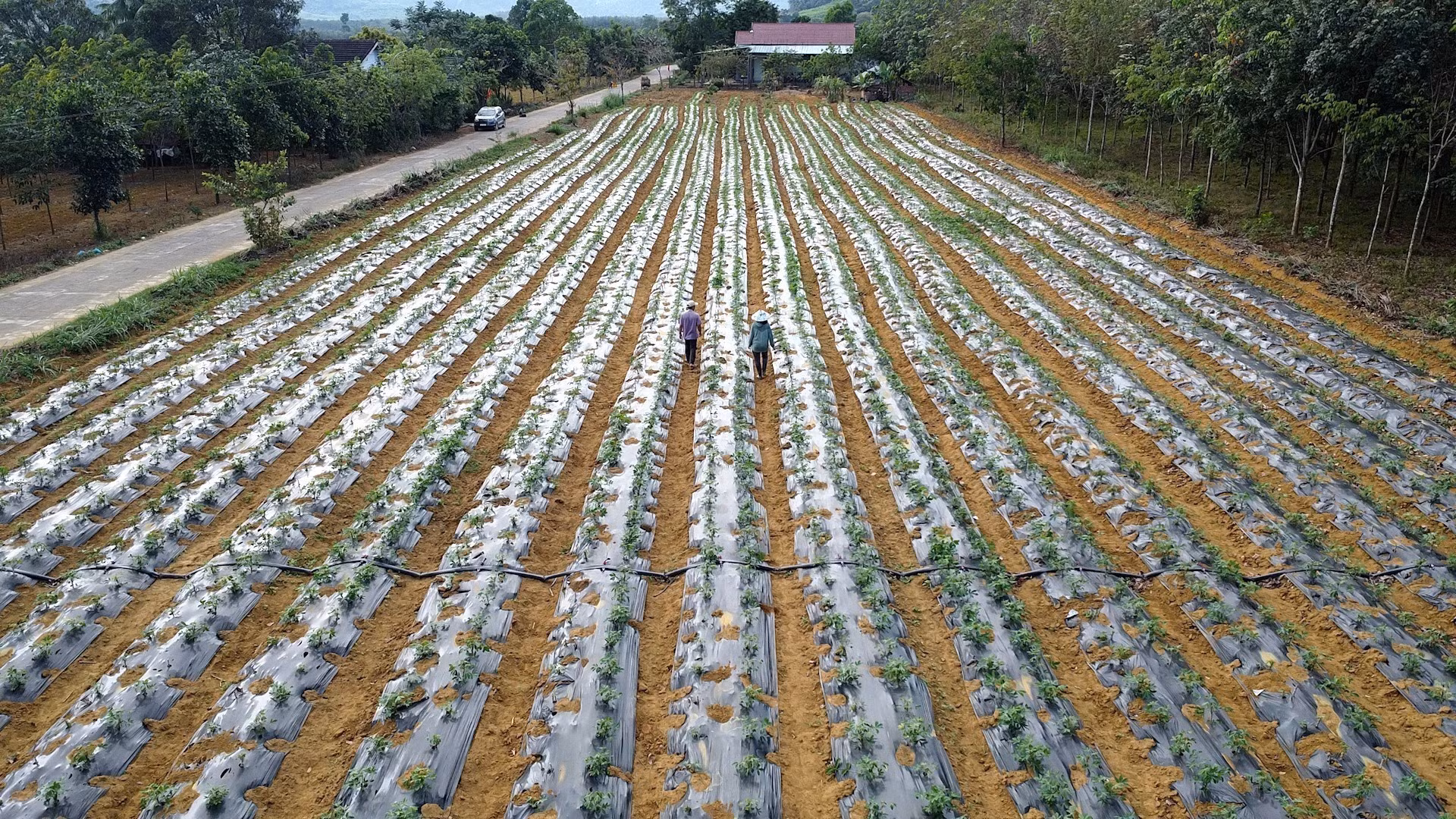 potal-dau-tu-phat-trien-vung-dong-bao-dan-toc-thieu-so-o-phu-yen-7460519.jpg