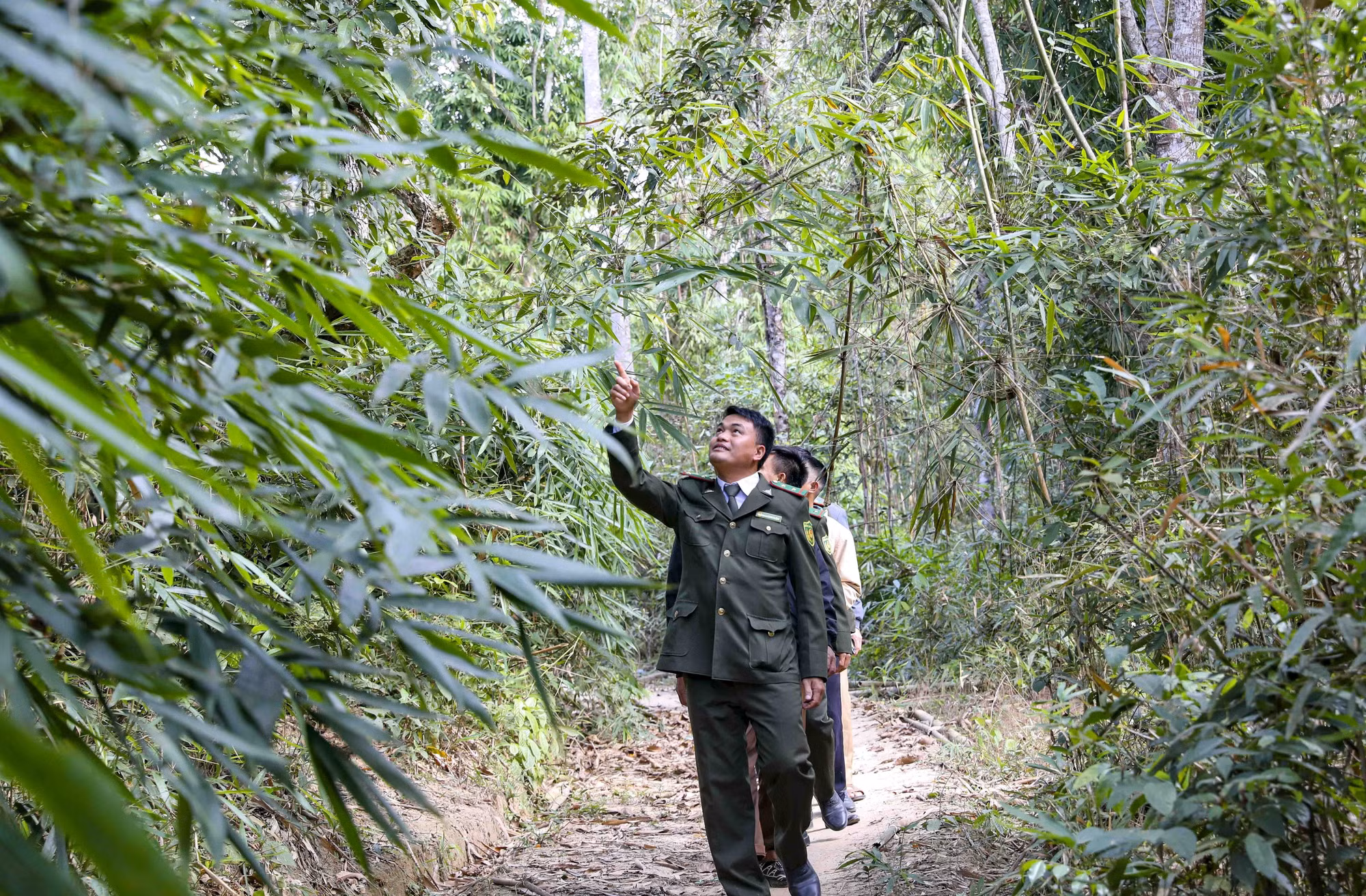potal-tang-cuong-cong-tac-bao-ve-va-phong-chong-chay-rung-o-huyen-nam-po-dien-bien-7848156.jpg