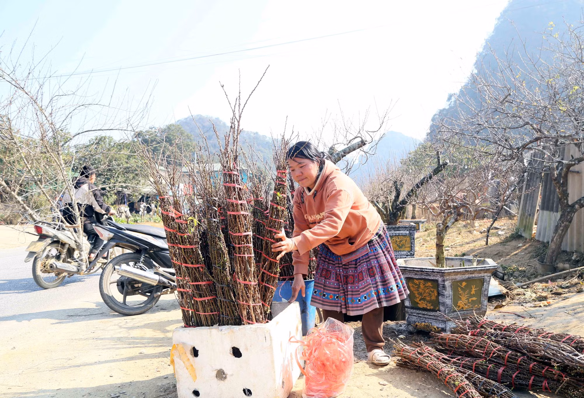 potal-nhieu-ho-dan-o-son-la-co-thu-nhap-cao-tu-trong-dao-7821360.jpg