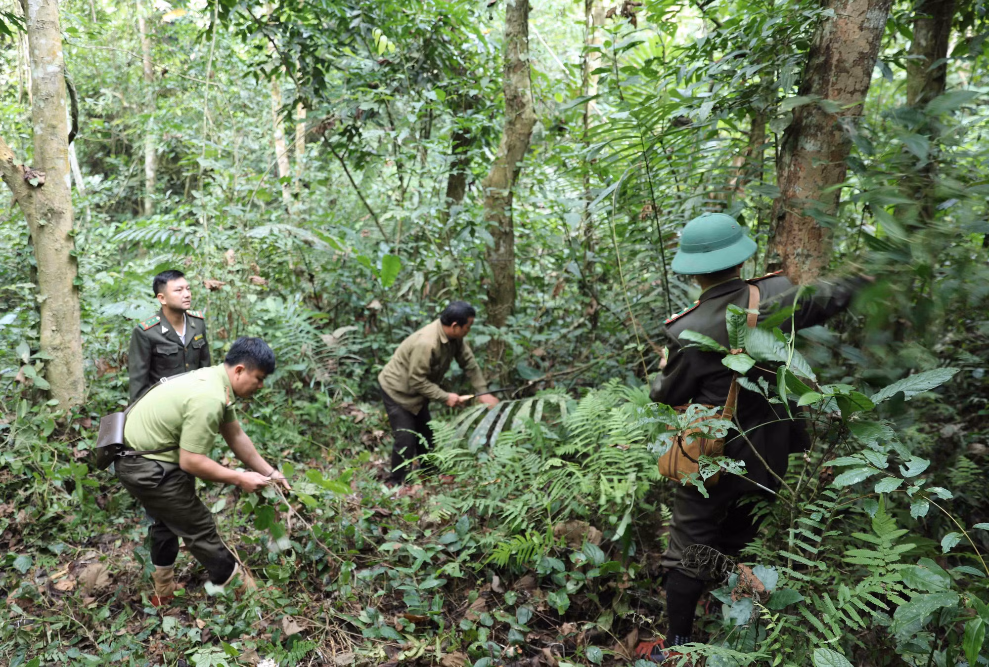 potal-khu-bao-ton-pu-huong-ap-dung-cong-nghe-bay-anh-trong-giam-sat-7771268.jpg
