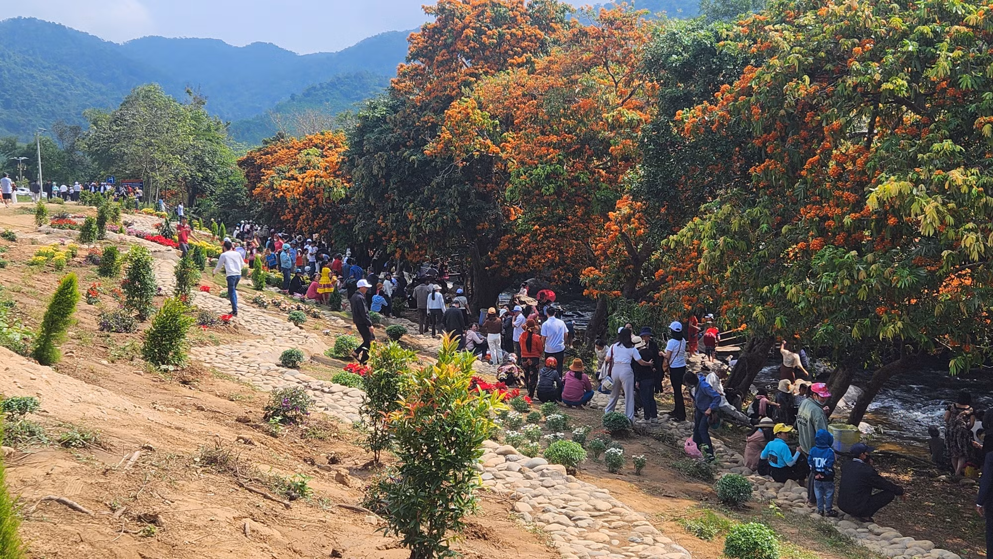 potal-khai-mac-le-hoi-hoa-trang-suoi-ta-ma-sac-mau-van-hoa-hoa-quyen-cung-thien-nhien-7927444.jpg