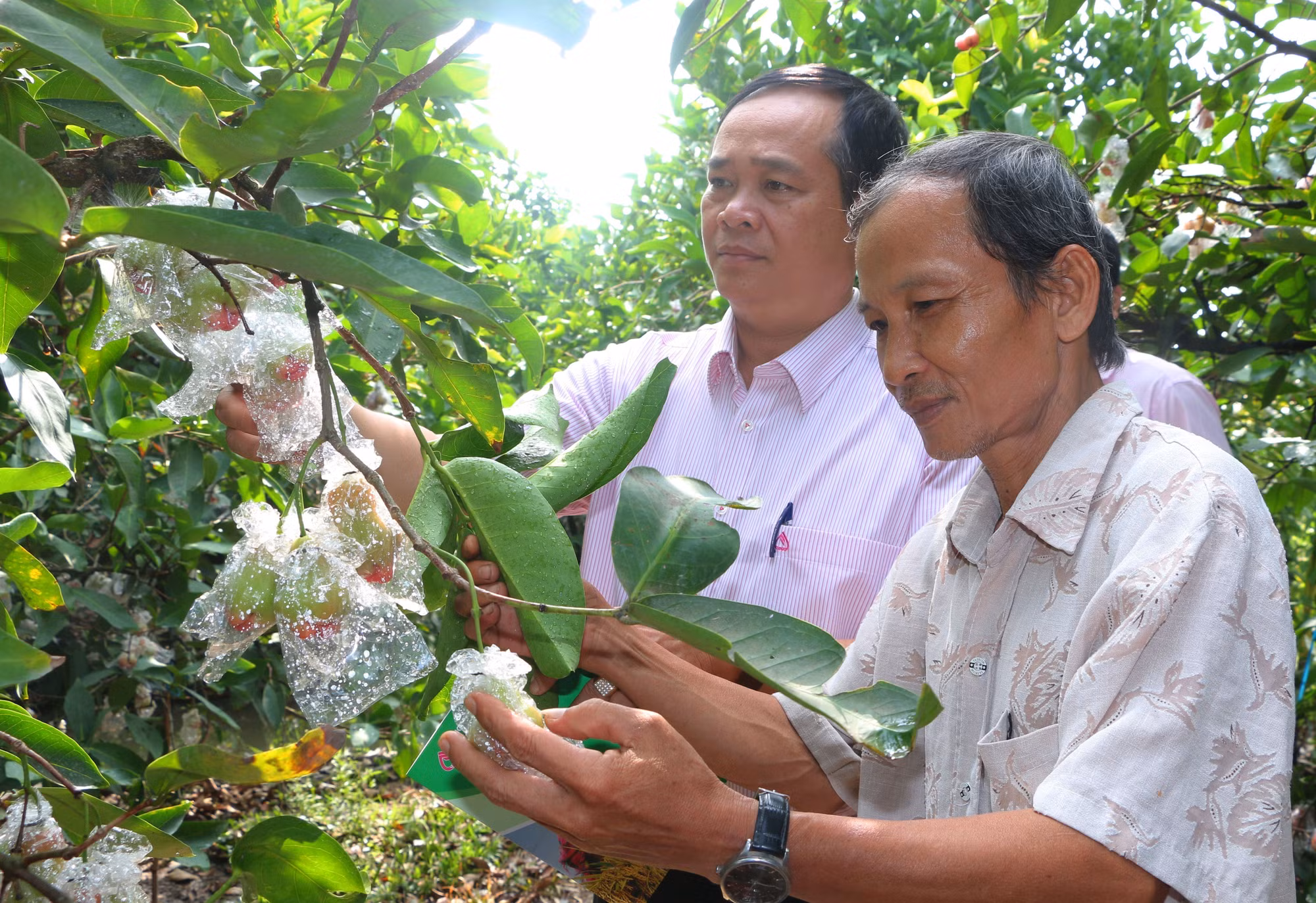 potal-nguon-von-tin-dung-chinh-sach-giup-thay-doi-doi-song-nguoi-dan-soc-trang-7932914.jpg