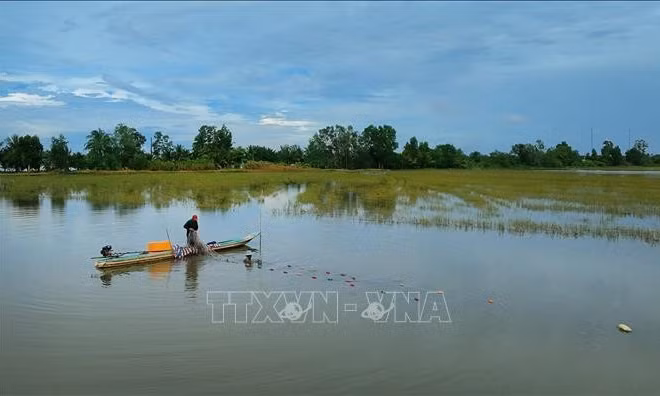 Mùa nước nổi và những giá trị phát triển cho Cần Thơ
