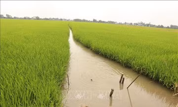 Tăng cường chủ động phòng, chống, ứng phó với các loại hình thiên tai 