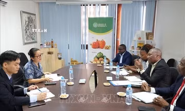 Thúc đẩy hợp tác nông nghiệp, thương mại Việt Nam - Mozambique