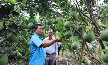 Nghị quyết 57-NQ/TW: Tăng kỹ năng cho nông dân làm nông nghiệp số