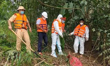 Nguy cơ ô nhiễm từ xác lợn chết trôi trên sông Đồng Nai