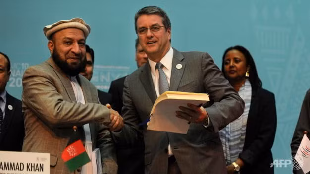 Afghanistan chính thức gia nhập WTO ảnh 1