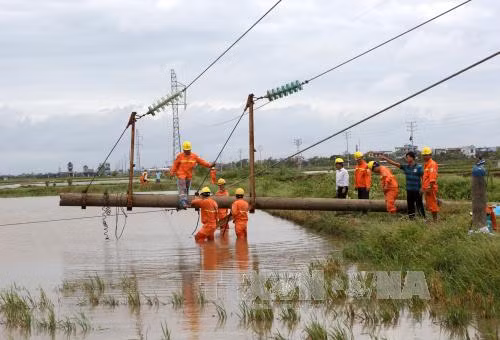 Sửa chữa lưới điện sau bão số 1, một người tử vong ảnh 1