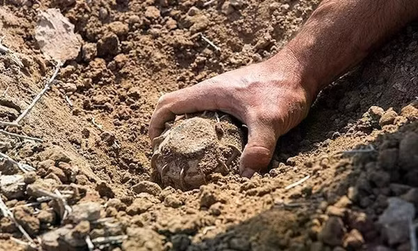 Phần Lan chuẩn bị một triệu quả mìn để phòng thủ biên giới với Nga