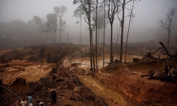 Một mỏ vàng trái phép ở vùng rừng Amazon. Ảnh: National Geographic