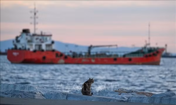 Tàu neo trên biển Marmara nối với Biển Đen, ngoài khơi thành phố Istanbul, Thổ Nhĩ Kỳ. Ảnh: THX/TTXVN