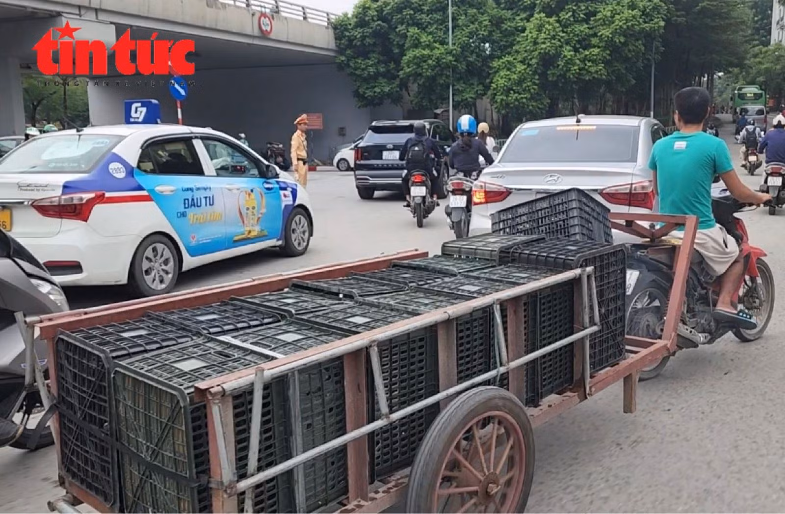 Chú thích ảnh