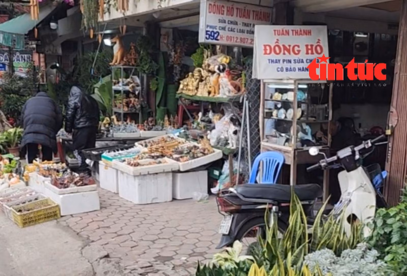 Chú thích ảnh