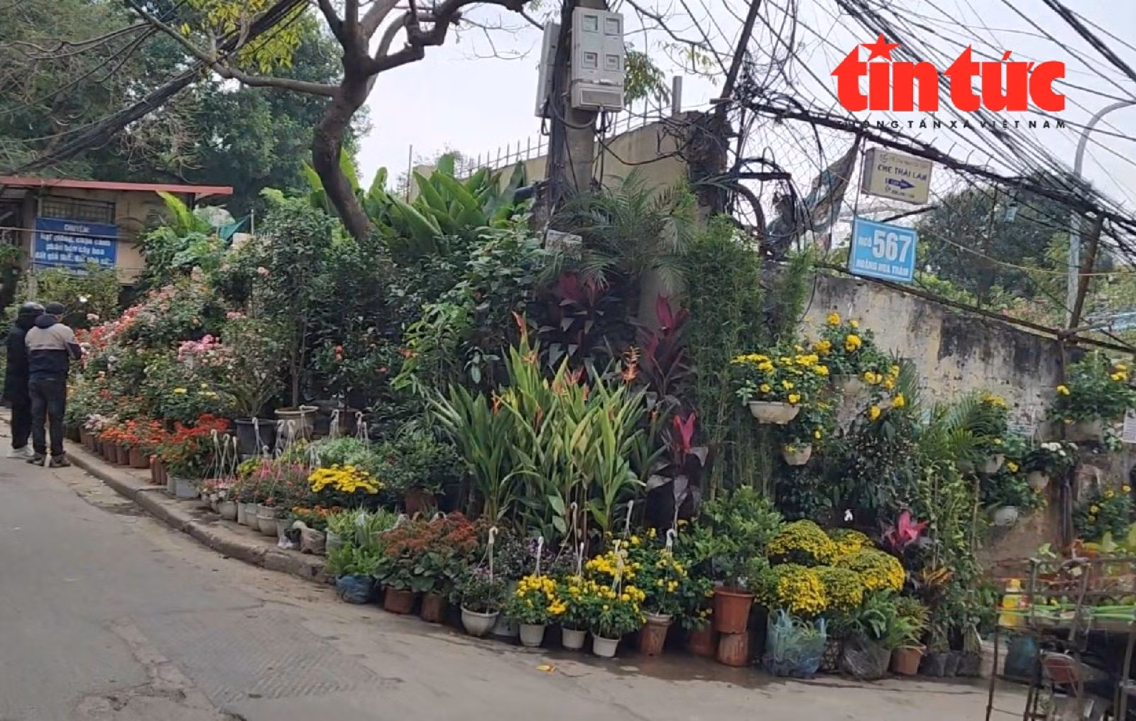 Chú thích ảnh
