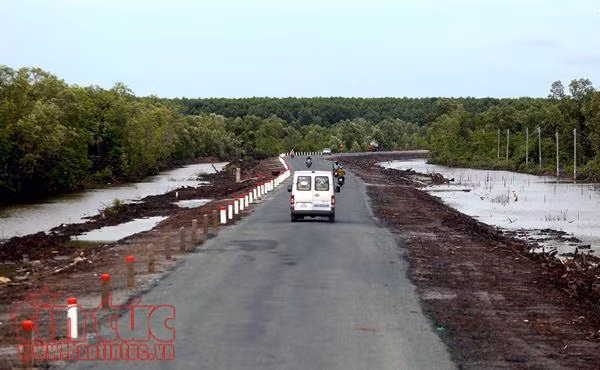 Hiện hữu tuyến đường ‘ý đảng lòng dân’ nối liền Đất Mũi, Cà Mau ảnh 8