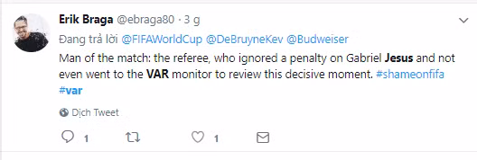 World Cup 2018: Trọng tài bị chỉ trích nặng nề vì không dùng VAR khiến Brazil mất 1 quả penalty ảnh 6