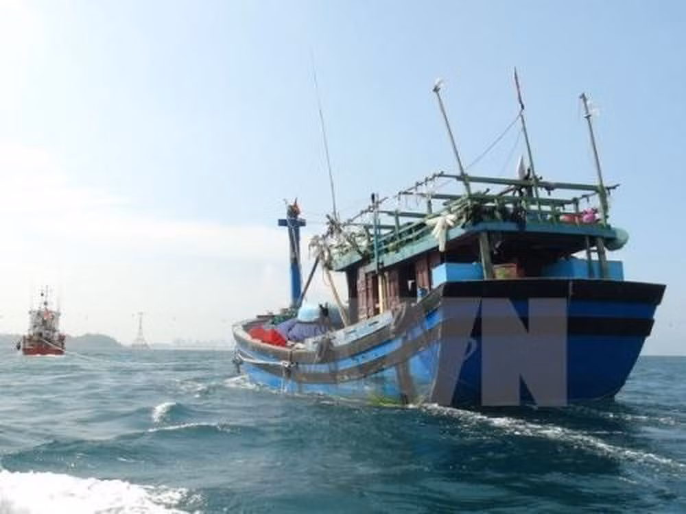 'Trên nóng dưới lạnh' trong việc khắc phục thẻ vàng từ EC ảnh 1