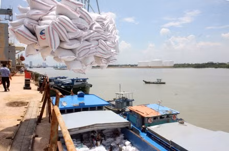 Giá gạo Việt Nam vượt trội Thái Lan, Ấn Độ nhờ ưu thế chất lượng ảnh 2