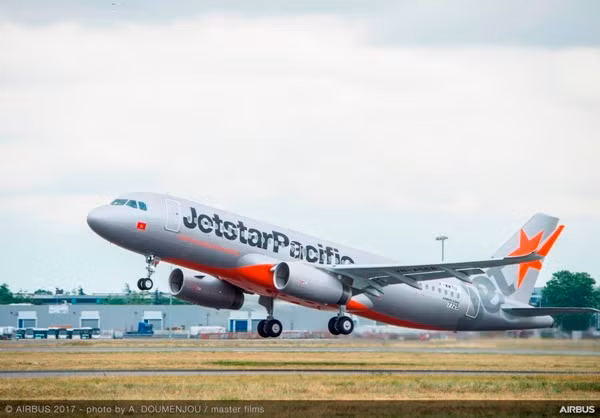 Chim va khiến máy bay Jetstar Pacific phải ở lại sân bay Đồng Hới ảnh 1