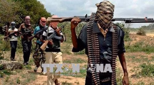  10 binh sĩ Niger thiệt mạng trong cuộc tấn công của nhóm Boko Haram ảnh 1