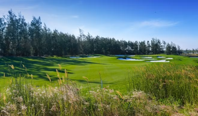  WAGC Vietnam 2018 sẽ diễn ra tại Vinpearl Golf Nam Hội An ảnh 2