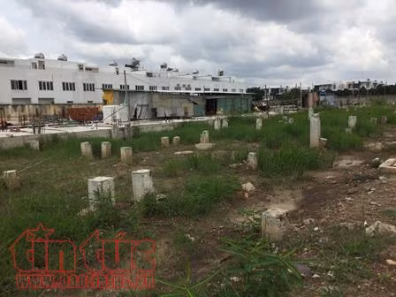 TP Hồ Chí Minh triển khai kết luận của Văn phòng Chính phủ về vi phạm đất đai ảnh 1