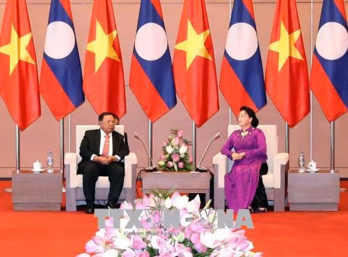 Tổng Bí thư, Chủ tịch nước Lào Bounnhang Vorachith thăm Việt Nam ảnh 4