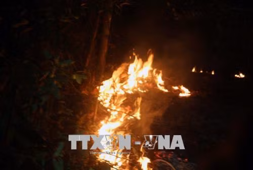 Cháy 4,3 ha rừng keo, thông, bạch đàn tại Hà Nam ảnh 1