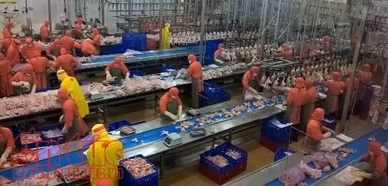 Đề xuất tăng lương tối thiểu vùng cao nhất là 5,8% ảnh 1