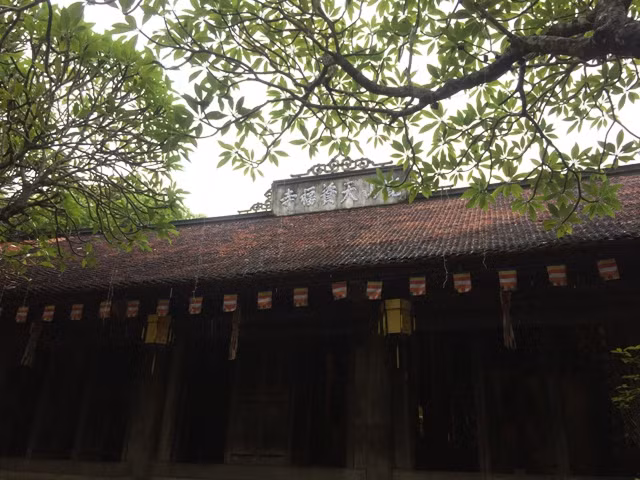 Chọn Côn Sơn cổ kính và Đảo Cò yên bình để khám phá xứ Đông ảnh 3