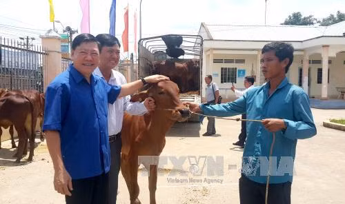 Tạo sinh kế bền vững cho các hộ nghèo dân tộc Khmer ảnh 1