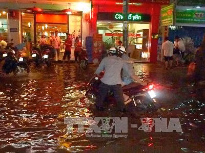 TP Hồ Chí Minh: Thí điểm xây hồ điều tiết để giảm ngập do mưa ảnh 2