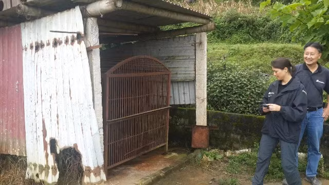 Cứu hộ cá thể gấu bị nuôi làm cảnh suốt hơn 10 năm ảnh 1
