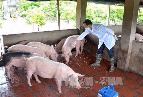 Phát động kế hoạch quản lý và sử dụng kháng sinh trong chăn nuôi và nuôi thuỷ sản hiệu quả ảnh 1