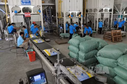Cải thiện tín nhiệm của doanh nghiệp tư nhân với chính sách điều hành kinh tế ảnh 1