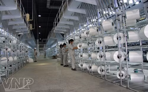 Gỡ 'đầu ra' cho xơ sợi Đình Vũ ảnh 1