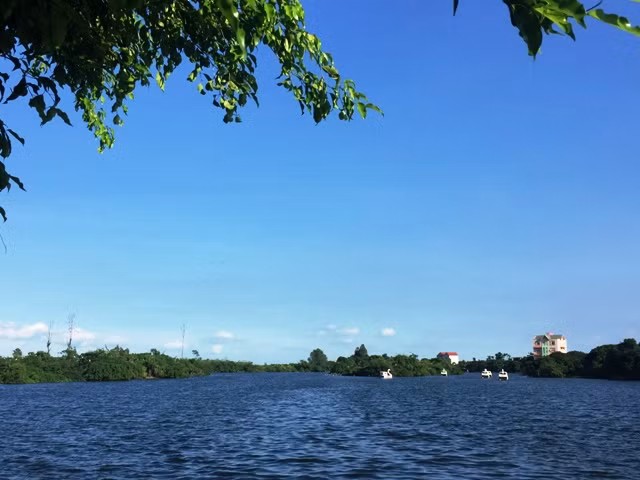Chọn Côn Sơn cổ kính và Đảo Cò yên bình để khám phá xứ Đông ảnh 12
