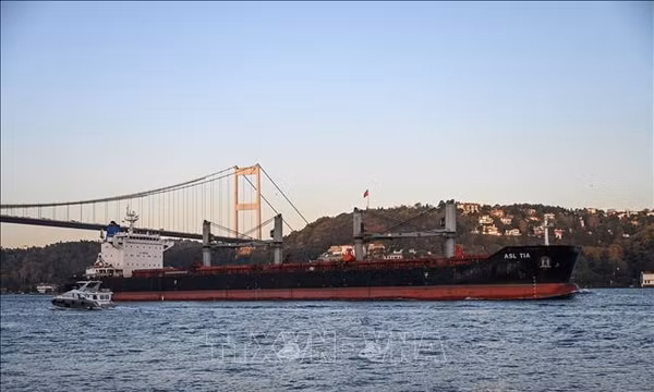 Tàu chở ngũ cốc Ukraine di chuyển qua eo biển Bosphorus để vào biển Marmara ở Istanbul, Thổ Nhĩ Kỳ. Ảnh: AFP/TTXVN