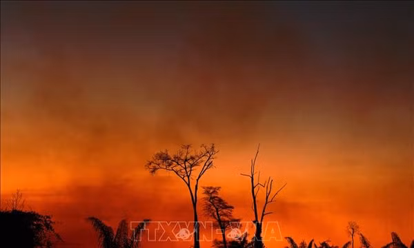 Khói lửa bốc lên từ đám cháy tại rừng Amazon ở bang Mato Grosso, Brazil. Ảnh tư liệu: AFP/ TTXVN (Không được phép chia sẻ và sử dụng bởi bên thứ ba)